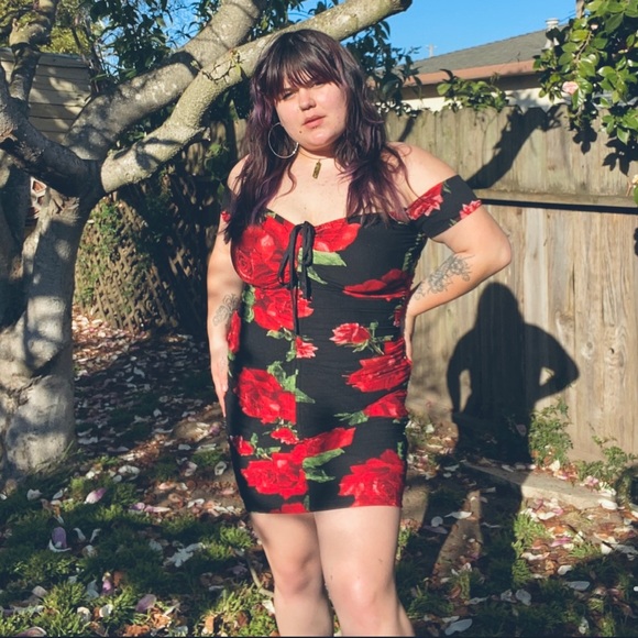 La Rosita Mini Dress - Picture 4 of 15